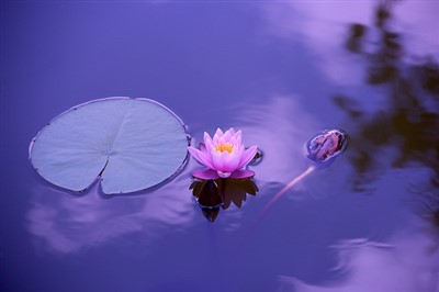 FAQ - Centers for Spiritual Living